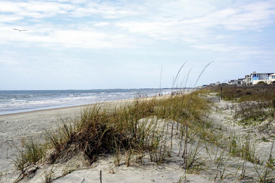 Folly Beach, SC | Shutterbug